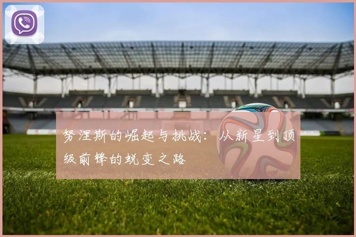 努涅斯的崛起与挑战：从新星到顶级前锋的蜕变之路