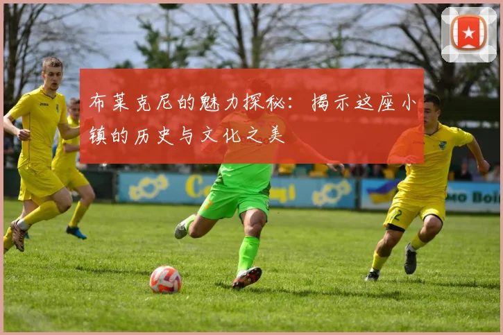 布莱克尼的魅力探秘：揭示这座小镇的历史与文化之美