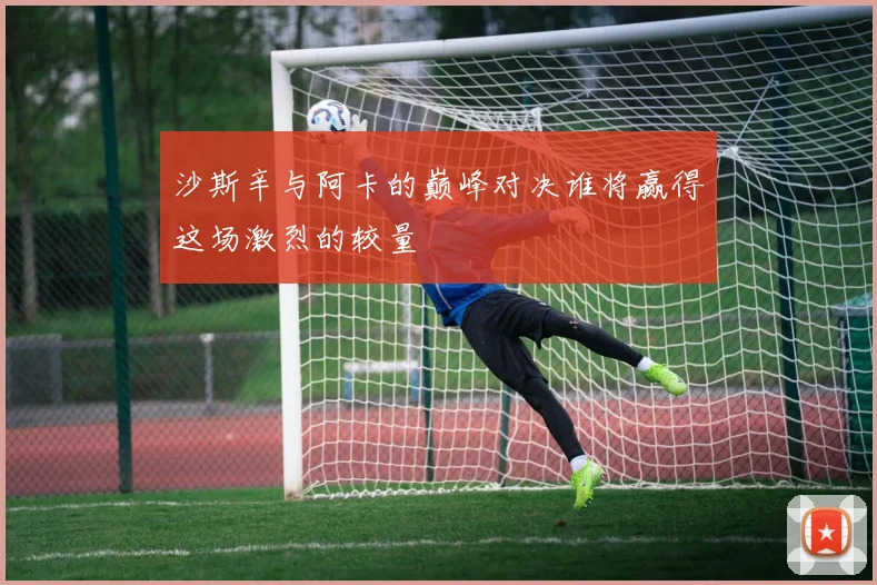 沙斯辛与阿卡的巅峰对决谁将赢得这场激烈的较量