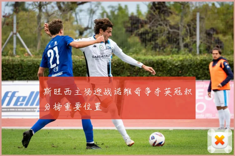 斯旺西主场迎战诺维奇争夺英冠积分榜重要位置