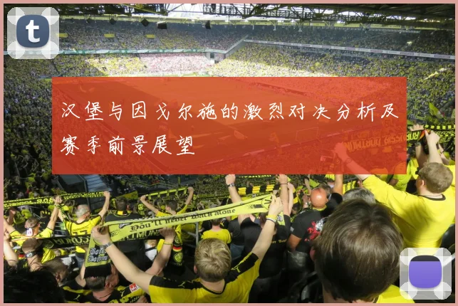 汉堡与因戈尔施的激烈对决分析及赛季前景展望