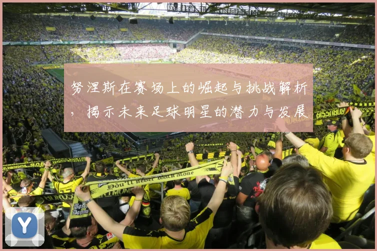 努涅斯在赛场上的崛起与挑战解析，揭示未来足球明星的潜力与发展方向