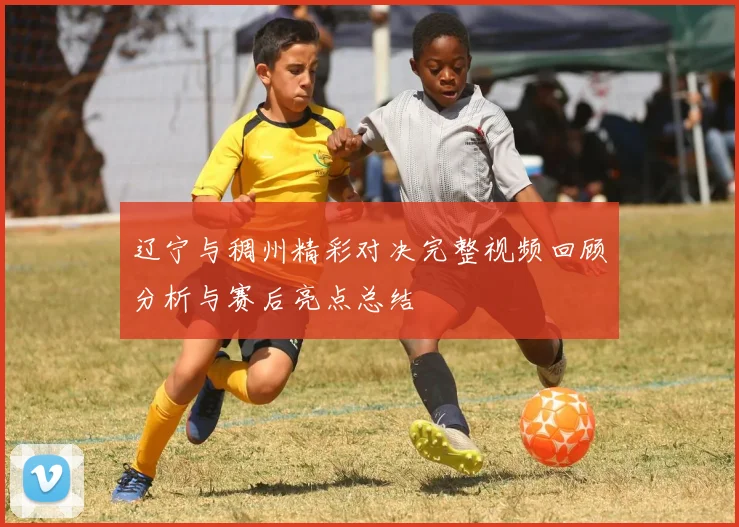 辽宁与稠州精彩对决完整视频回顾分析与赛后亮点总结
